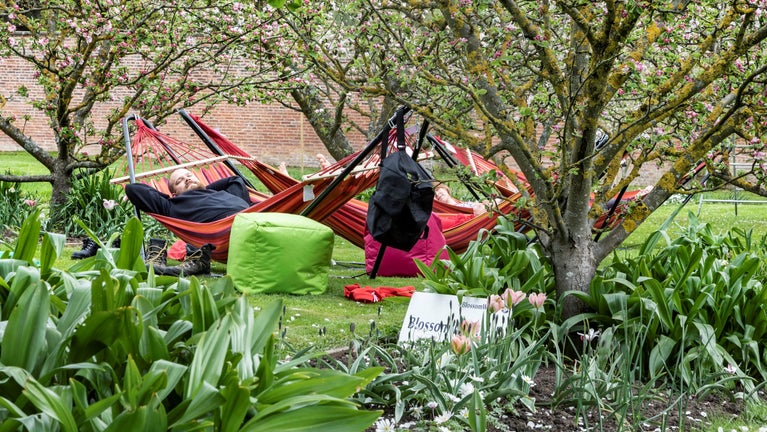 Blossom bathing in the Walled Garden